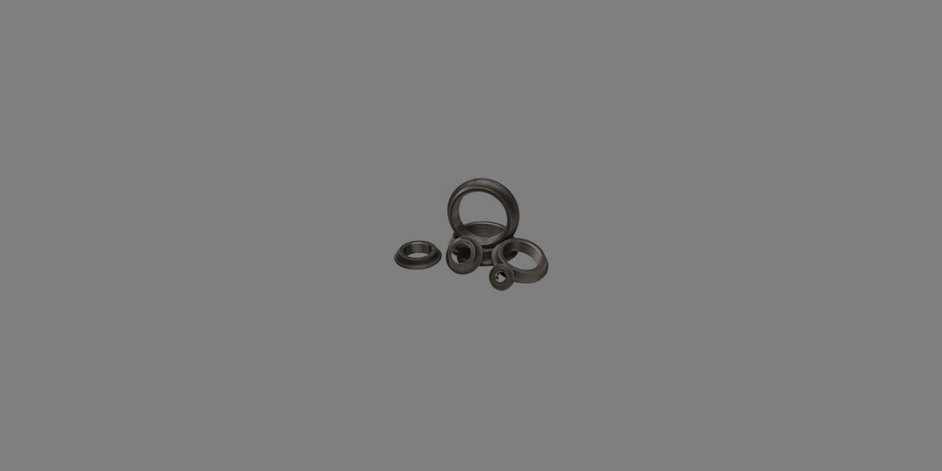 Tank Weld Flanges