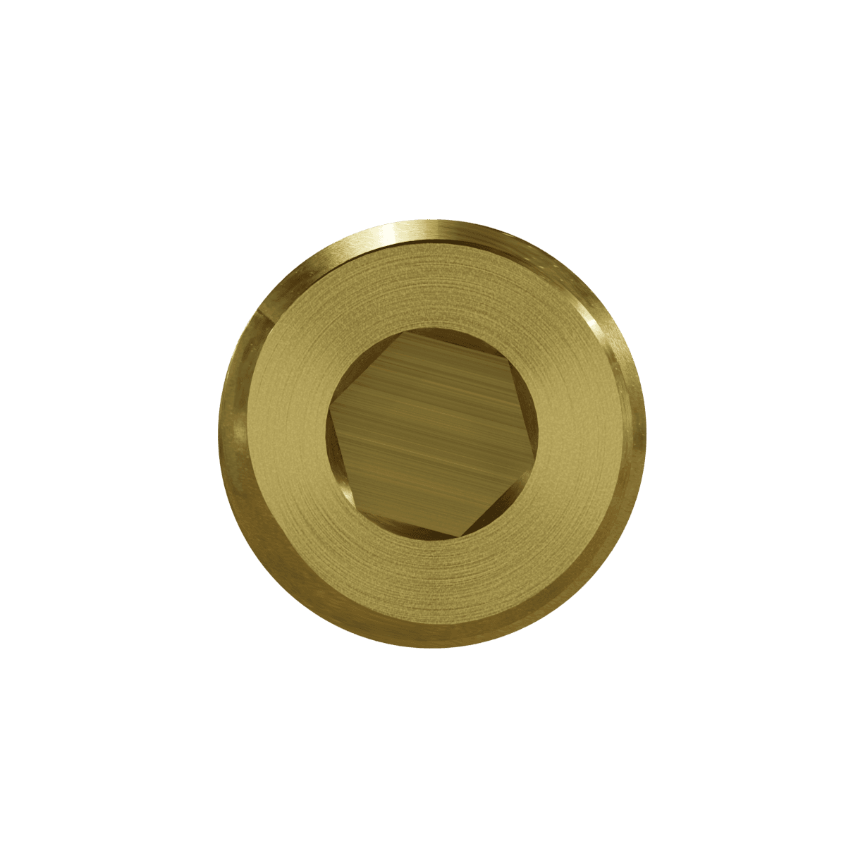 Hollow Hex Pipe Plug