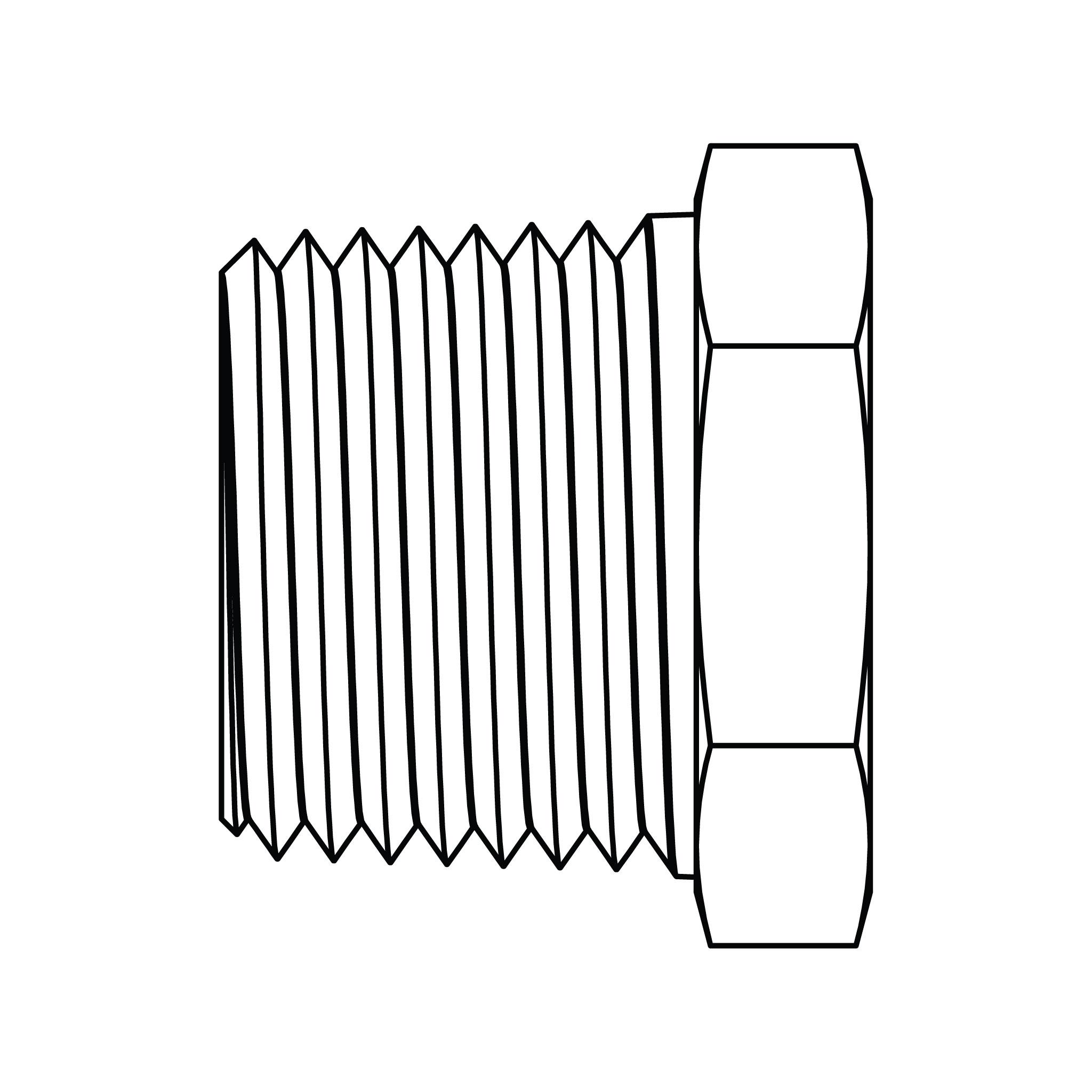 Hex Head Pipe Plug