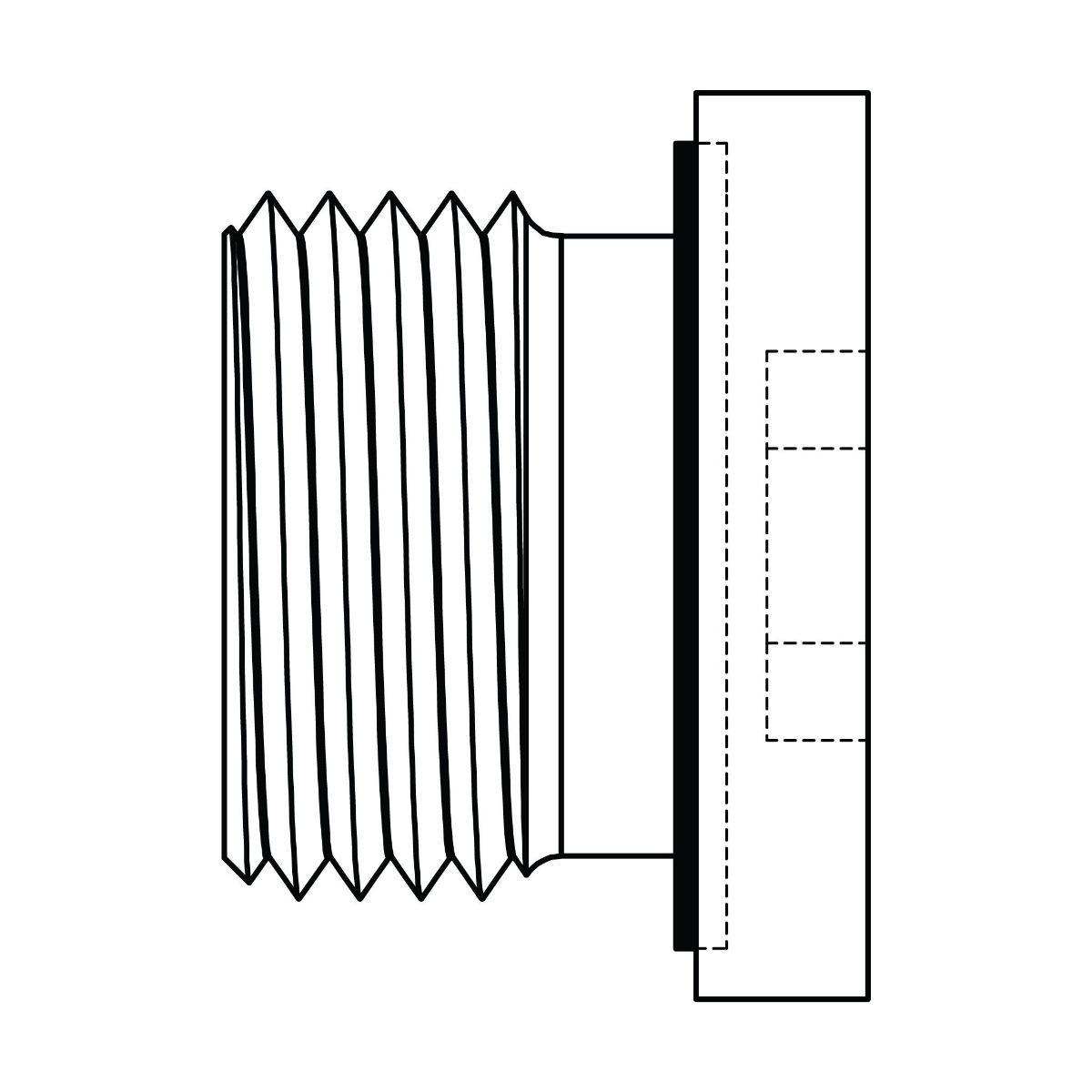 BSPP Hollow Hex Plug