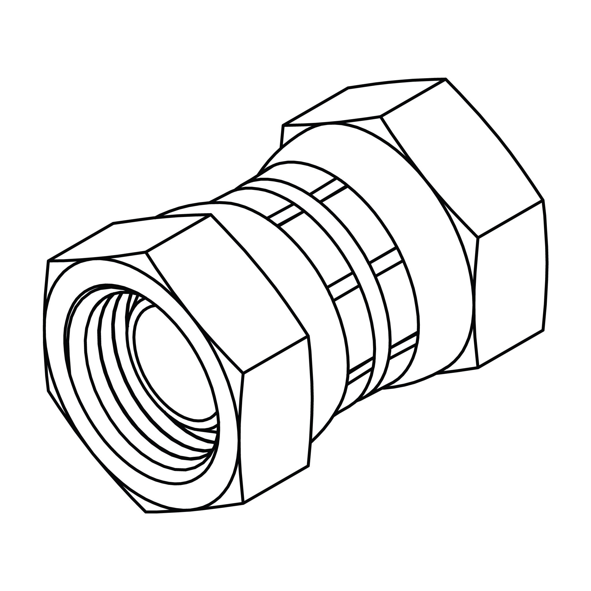 BSPP Swivel Union