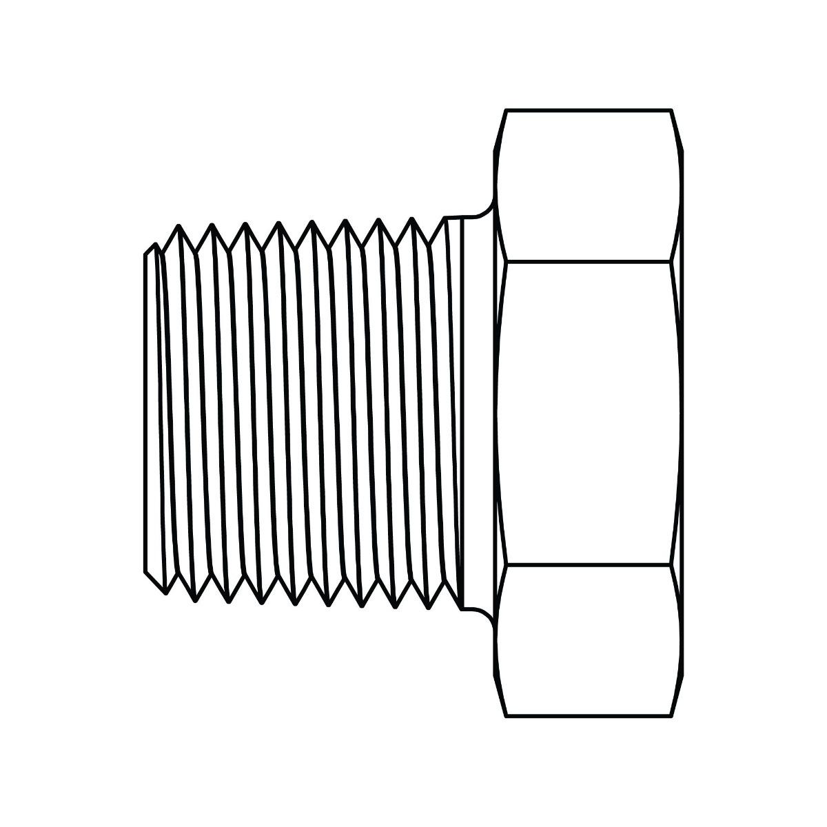 BSPT Reducer Bushing