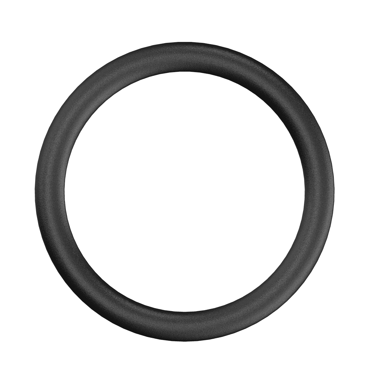 CAT Flange O-Ring