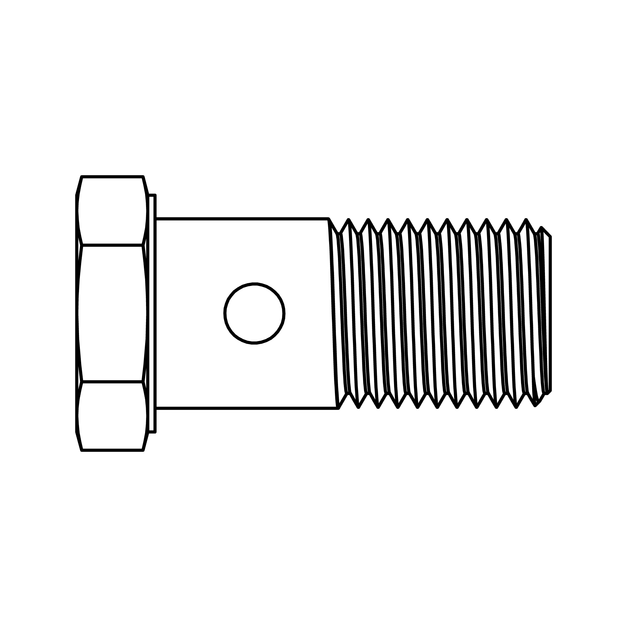 BANJO BOLT METRIC