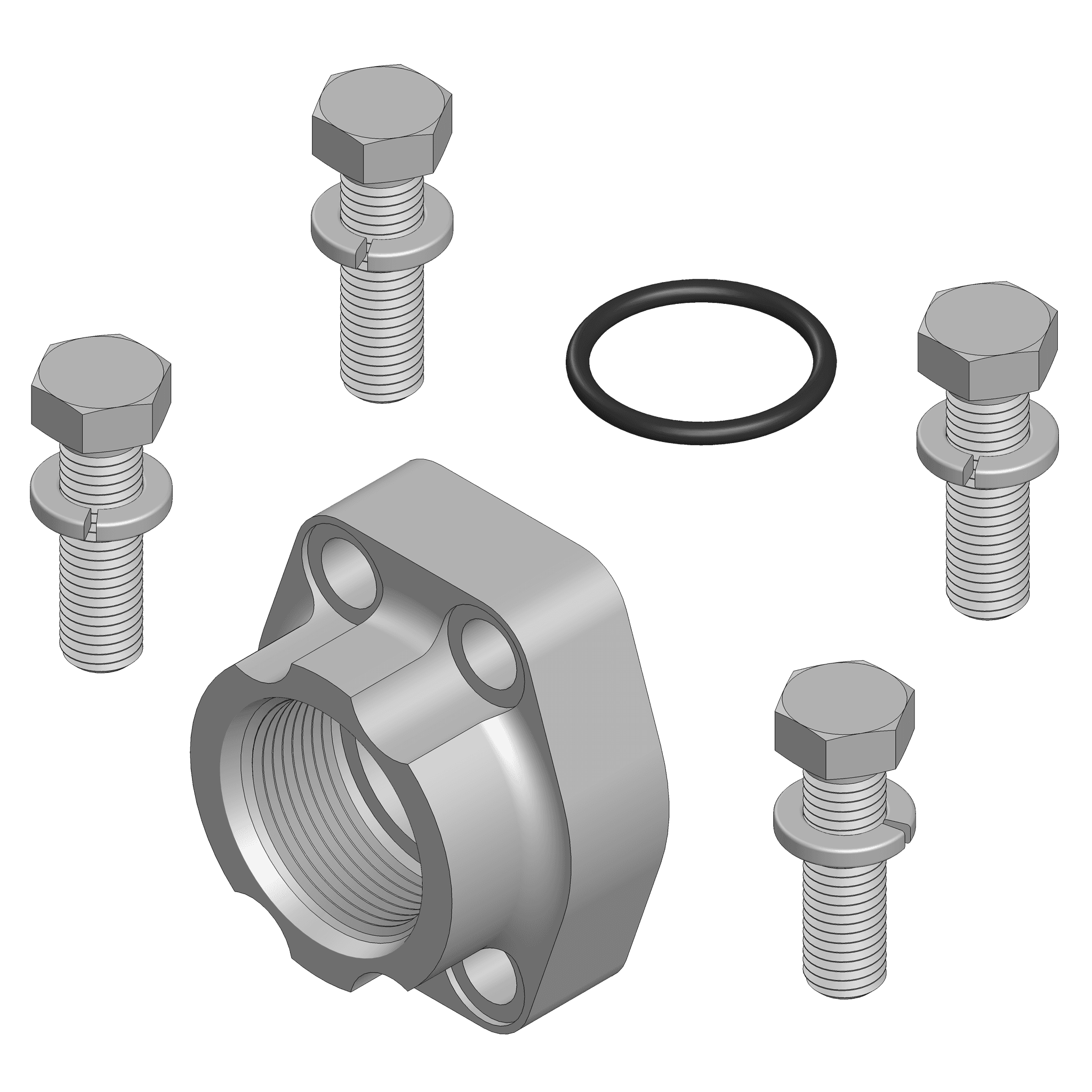 O-Ring Flange Pad Kit - Code 61