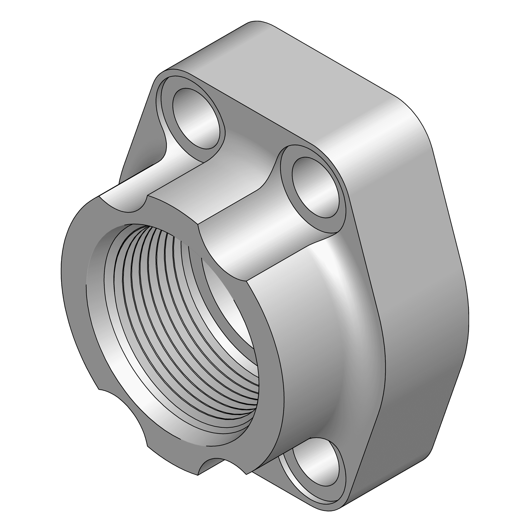 O-Ring Companion Flange Pad - Code 61
