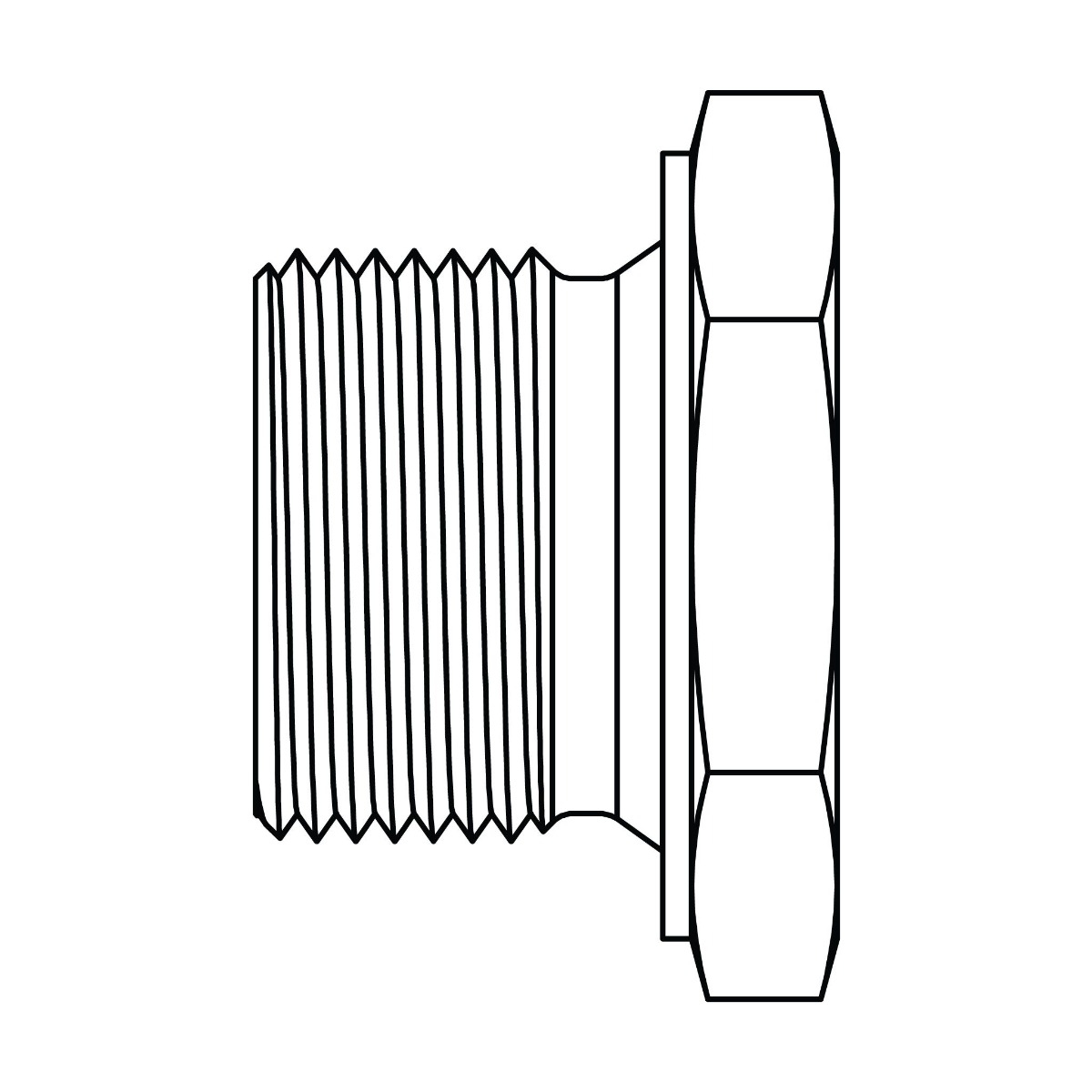 BSPP Plug