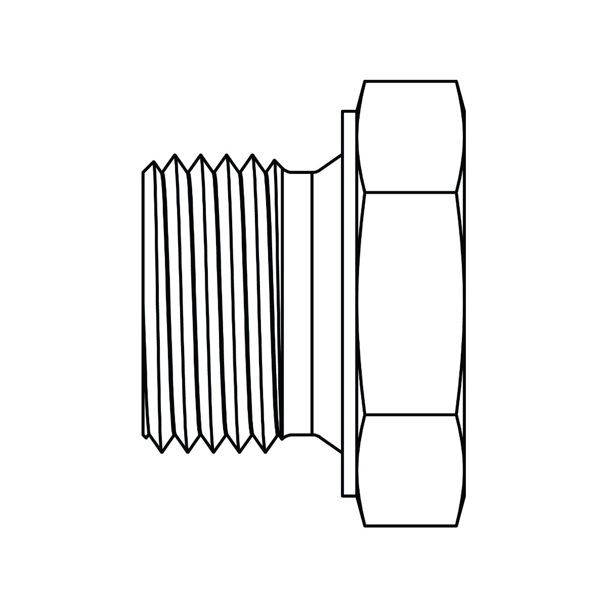 BSPP Reducer Bushing