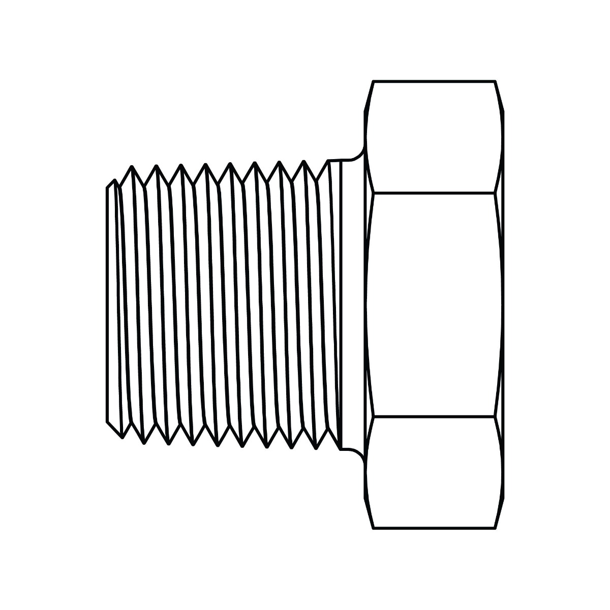 BSPT Reducer Bushing