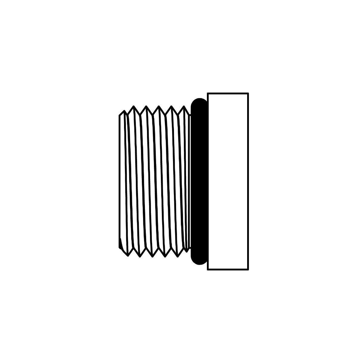 O-Ring Hollow Hex Plug