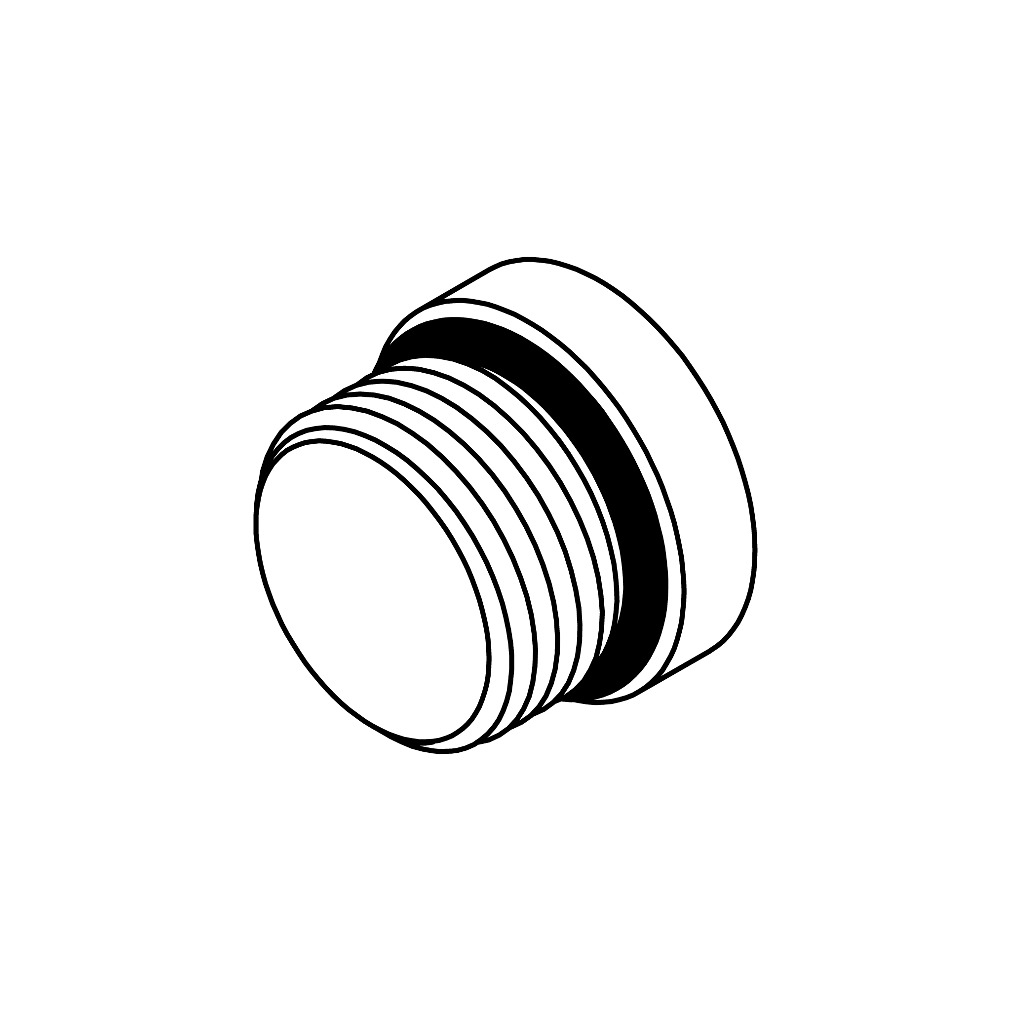 O-Ring Hollow Hex Plug