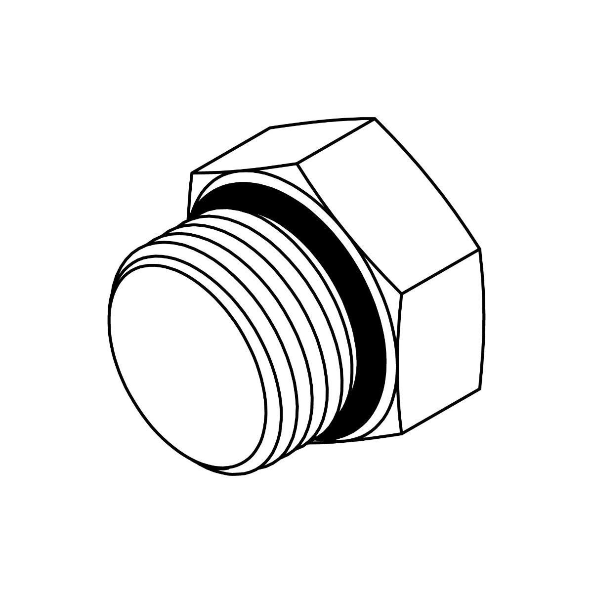 O-Ring Hex Plug