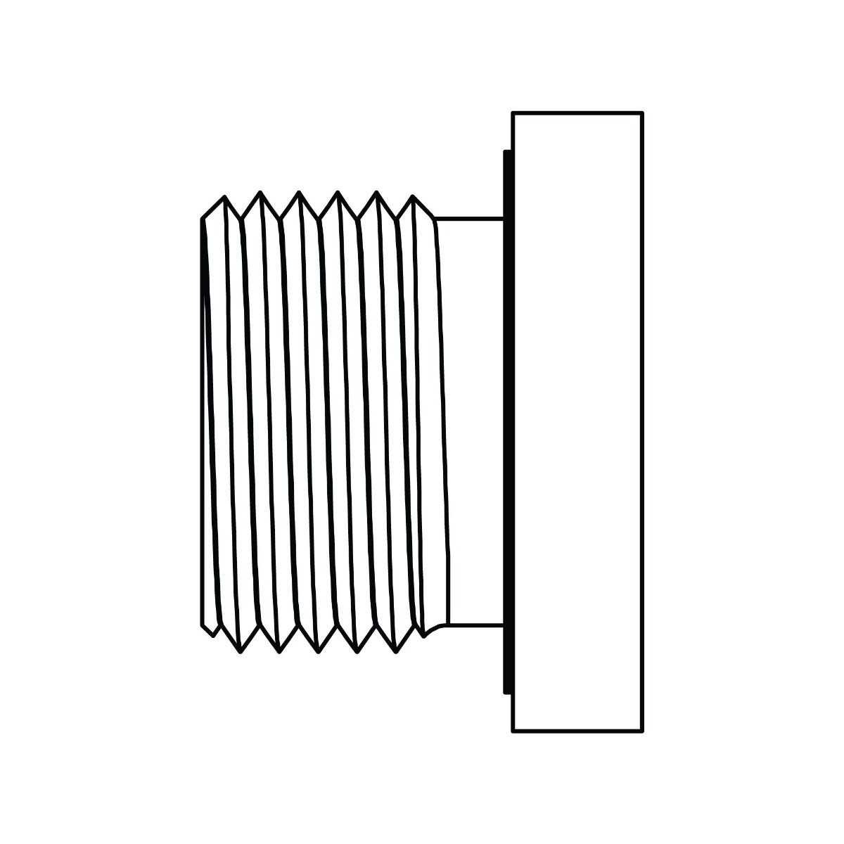 Metric Hollow Hex Plug