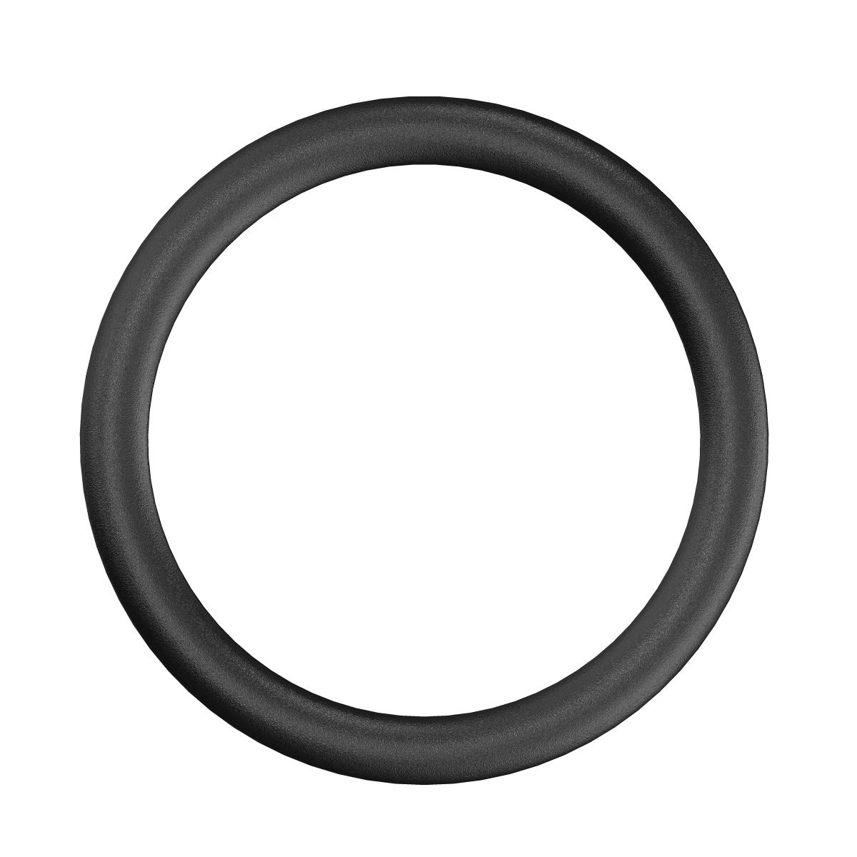 CAT Flange O-Ring