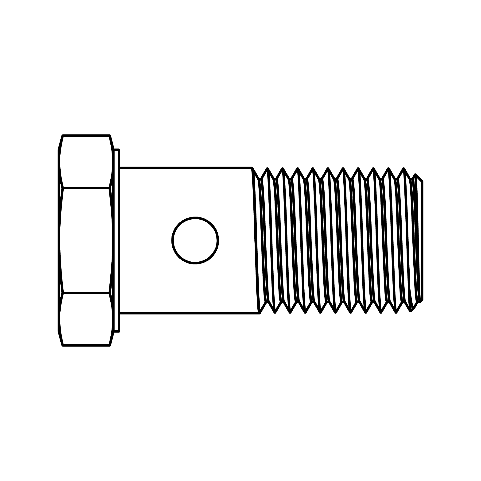 BANJO BOLT METRIC